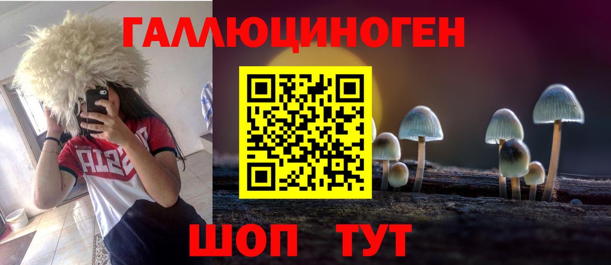 Псилоцибиновые грибы MAGIC MUSHROOMS Чебоксары